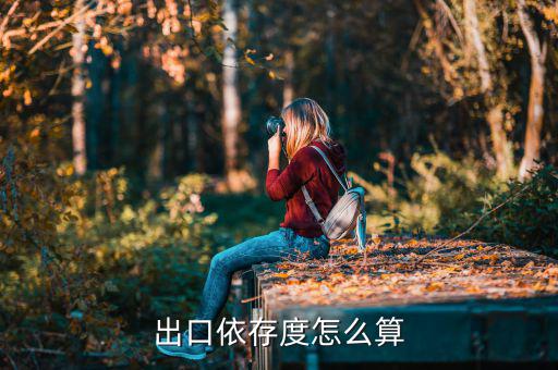 進(jìn)口依賴度怎么算,對(duì)外貿(mào)易依賴度越來越高促進(jìn)我國經(jīng)濟(jì)發(fā)展