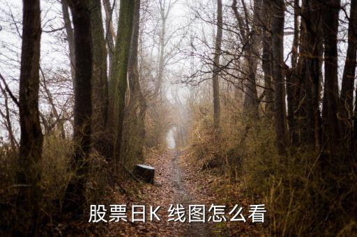 股票日K 線(xiàn)圖怎么看