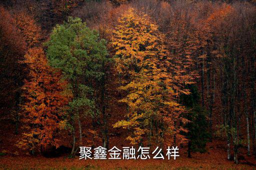 聚鑫國投怎么樣,聚鑫房產(chǎn)經(jīng)紀公司成立以科技為先導