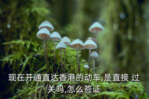 現(xiàn)在開通直達香港的動車,是直接 過關(guān)嗎,怎么簽證