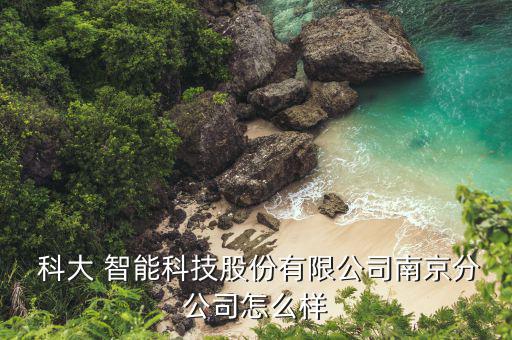 上?？拼笾悄茉趺礃?科大智能科技南京分公司楊瑞軍為企業(yè)法人