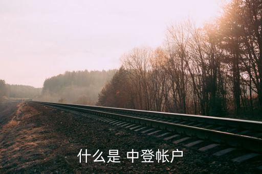 中登公司沒(méi)有賬戶(hù)怎么辦,如何查詢(xún)自己開(kāi)立的證券賬戶(hù)呢!