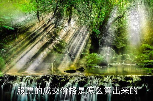 股票價(jià)格怎么算出來(lái)的,股票理論價(jià)格是動(dòng)態(tài)價(jià)格