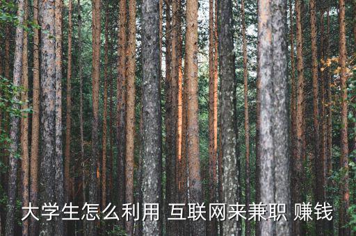 互聯(lián)網(wǎng)經濟怎么賺錢,第一章:互聯(lián)網(wǎng)時代如何賺錢?