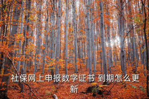 龍灣社保登記證到期怎么更換,社?？ㄟ^(guò)期怎么辦?可以這樣做!