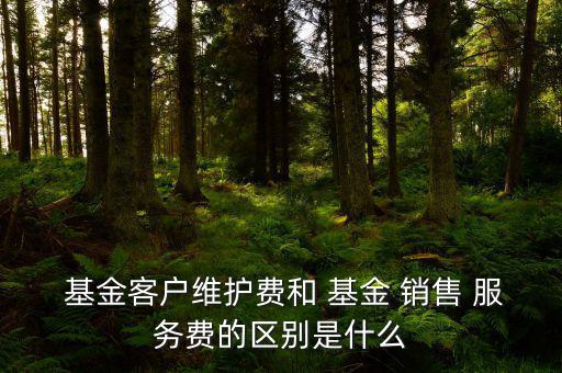  基金客戶維護(hù)費和 基金 銷售 服務(wù)費的區(qū)別是什么