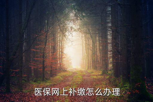 怎么補(bǔ)交醫(yī)保,因個(gè)人原因斷了社?？缮暾?qǐng)公司為自己繳納費(fèi)用