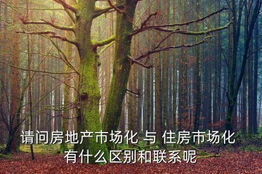 什么是房地產(chǎn)市場(chǎng)化，房地產(chǎn)市場(chǎng)分化甚么意思