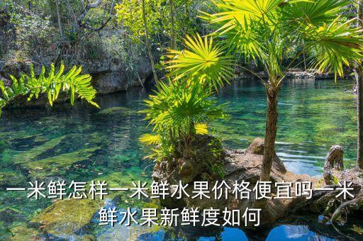 一米鮮為什么做垮了，一米鮮主要是做什么銷售誰(shuí)能告訴我