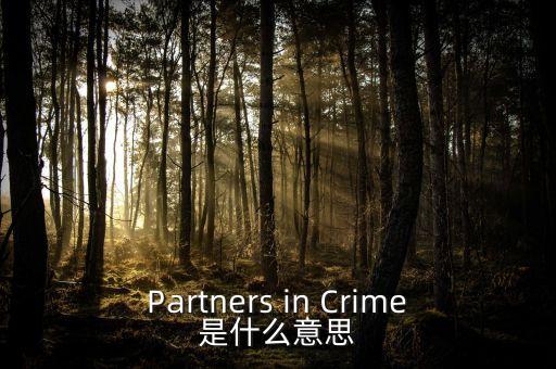 人工角膜是什么，Partners in Crime是什么意思