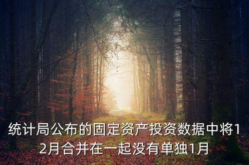 固定資產(chǎn)投資為什么沒有1月份數(shù)據(jù)怎么處理，上月購進一固定資產(chǎn)月初建賬時期初數(shù)據(jù)沒有將該固定資產(chǎn)錄入
