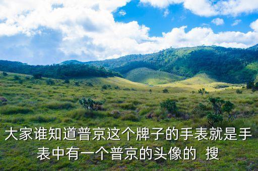 普京皮帶是什么牌子，大家誰知道普京這個牌子的手表就是手表中有一個普京的頭像的  搜