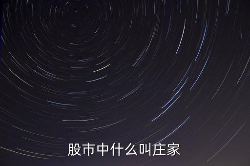 什么莊家股票，股票的莊家是指