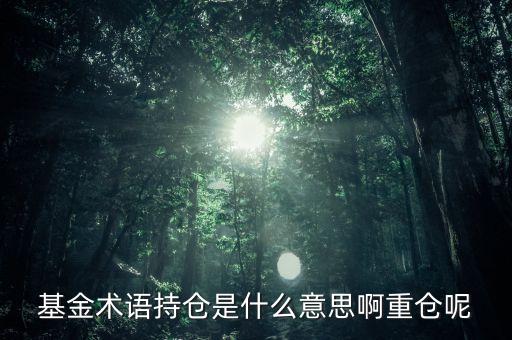 etf持倉是什么意思，基金術語持倉是什么意思啊重倉呢