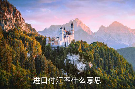 進(jìn)口付匯是什么意思，進(jìn)口付匯是什么