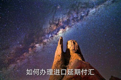 什么是進(jìn)口付匯，什么是跨境貿(mào)易人民幣結(jié)算啊