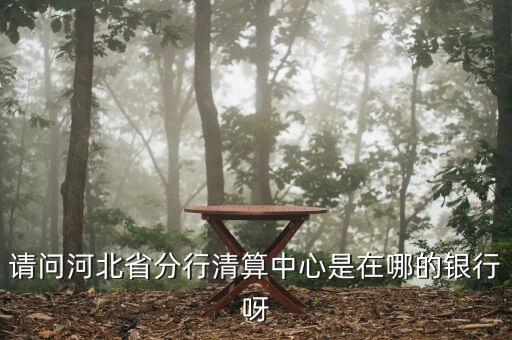 河北省分行清算中心是什么，請(qǐng)問河北省分行清算中心是在哪的銀行呀