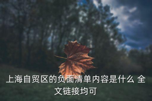 上海自貿(mào)區(qū)負(fù)面清單什么意思，上海自貿(mào)區(qū)負(fù)面清單制度的實(shí)施有哪些經(jīng)濟(jì)意義