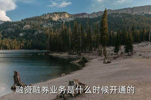 今年融券政策什么時(shí)候放開的，融資融券什么時(shí)候開始