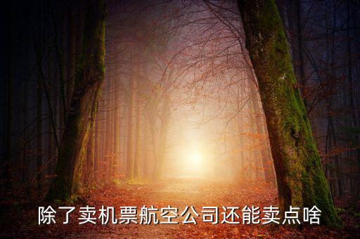 什么叫空地聯(lián)運(yùn)，昆明火車站候機(jī)
