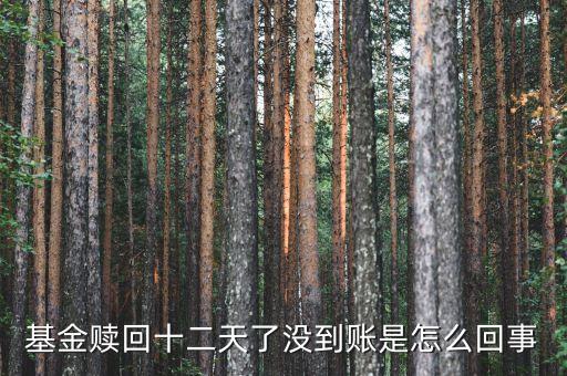 贖回成13天了為什么錢沒到賬，基金贖回成功了 為什么還沒到帳