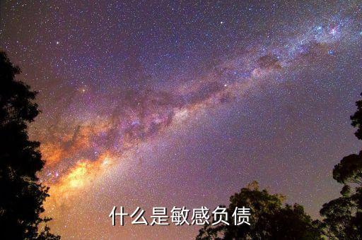 什么是直接負債，什么是直接還款