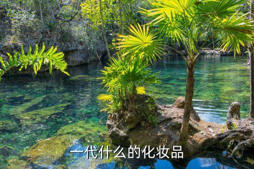 化妝品代領(lǐng)什么意思，代理化妝品怎么回事是怎么賺錢的
