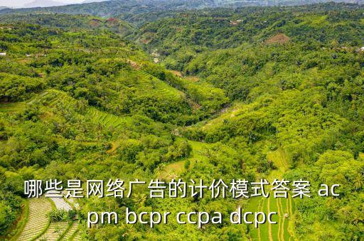 國家大力推廣什么計價模式，哪些是網(wǎng)絡廣告的計價模式答案 acpm bcpr ccpa dcpc