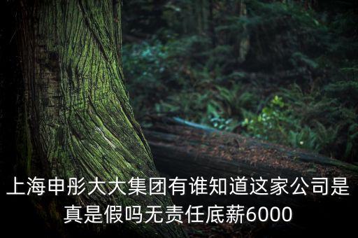 申彤大大集團(tuán)賺的什么錢發(fā)工資，上海申彤大大集團(tuán)有誰知道這家公司是真是假嗎無責(zé)任底薪6000