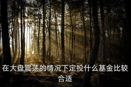大盤調(diào)整買什么基金好，在大盤震蕩的情況下定投什么基金比較合適