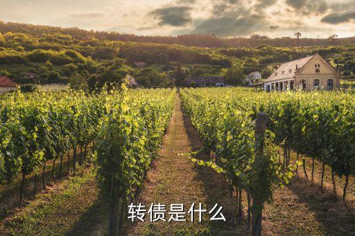 浙能轉(zhuǎn)債是什么，浙能電力轉(zhuǎn)債贖回兌付摘牌是利好還是利空