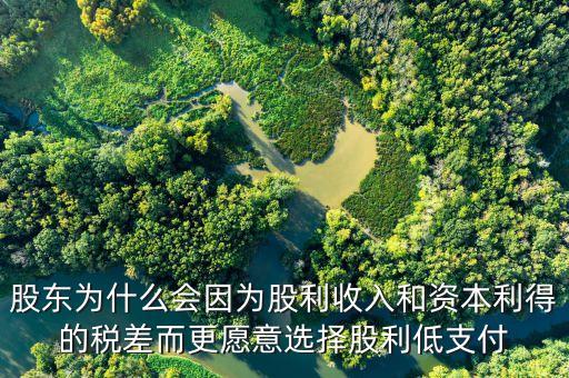 為什么發(fā)放股票股利會(huì)資本利得稅，股東為什么會(huì)因?yàn)楣衫杖牒唾Y本利得的稅差而更愿意選擇股利低支付