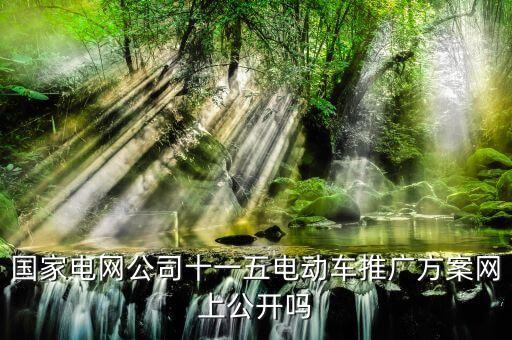 國家電網公司十一五電動車推廣方案網上公開嗎