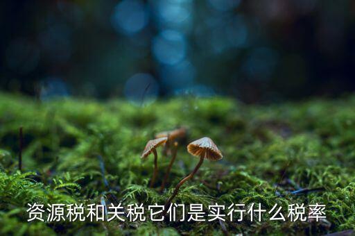 資源稅采用什么稅率，資源稅的計稅依據(jù)是什么稅率是多少