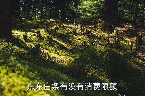 京東白條有沒(méi)有消費(fèi)限額