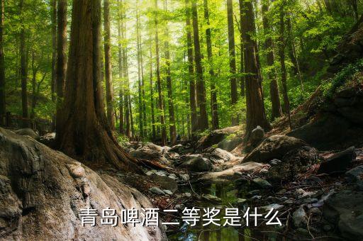 青島啤酒2等獎是什么，請問昨天喝了一瓶青島啤酒上面寫了2等獎是什么意思獎品是什么