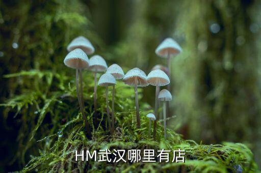 武漢禧h酒店什么時間開業(yè)，武漢哪里有快開張的酒店