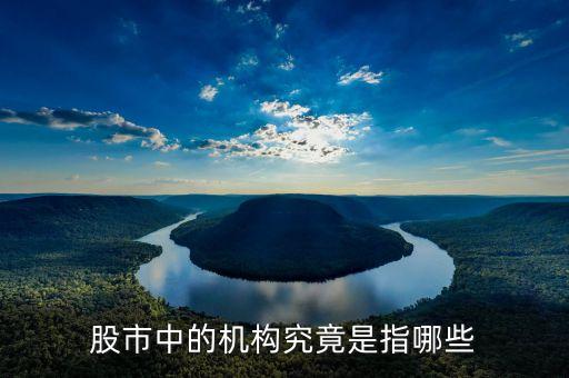 股票中的機(jī)構(gòu)指什么，股市里的機(jī)構(gòu)指的是什么