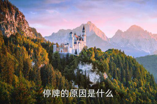 中國(guó)巨石為什么停牌，000009今天為何停牌