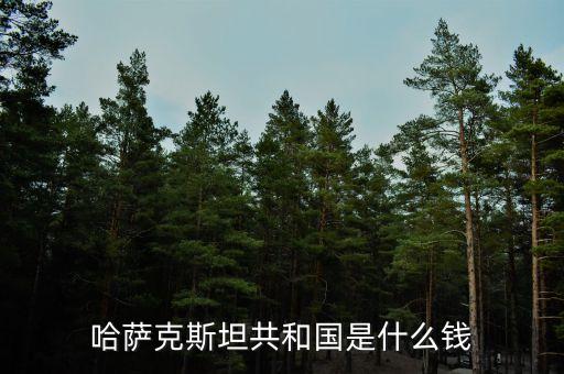 哈薩克斯坦用什么貨幣，哈薩克斯坦的貨幣名稱是什么