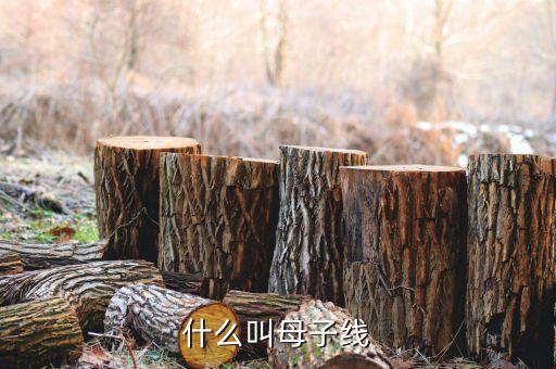 什么是母子變盤線，周四周五兩根k線是母子線從技術(shù)上看是轉(zhuǎn)勢信號嗎
