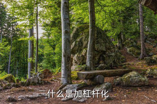 加杠桿化是什么意思，什么是加杠桿化