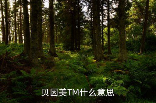 貝因美尾盤(pán)1多手什么意思，貝因美TM什么意思