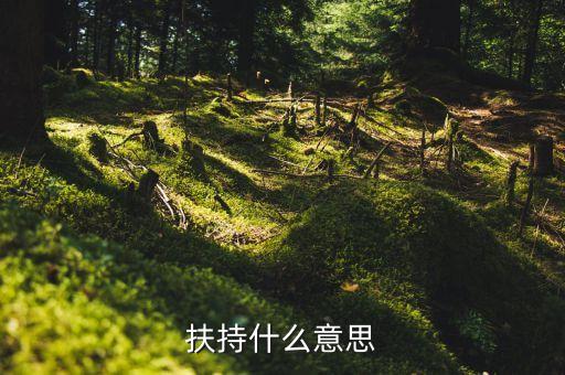 扶持力度什么意思，什么叫扶持扶持是不是等于給予呢