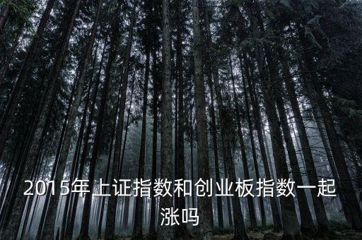 2015年創(chuàng)業(yè)板為什么漲，2015年上證指數(shù)和創(chuàng)業(yè)板指數(shù)一起漲嗎