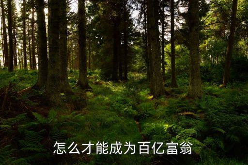 拿什么沖百億，怎么才能成為百億富翁