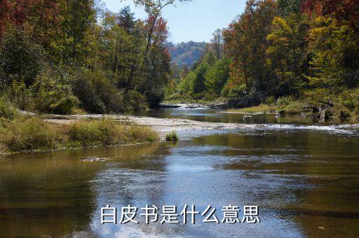 產(chǎn)品白皮書(shū)是什么意思，產(chǎn)品白皮書(shū)的文檔意義