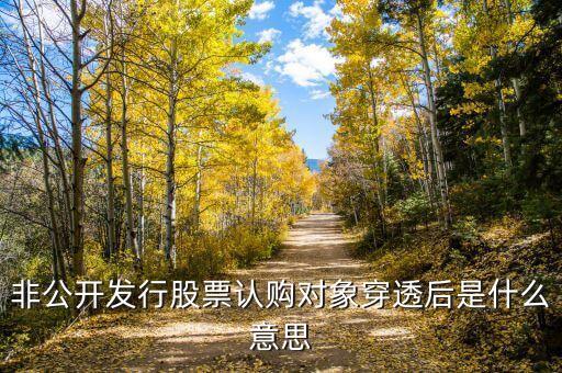 穿透披露是什么意思，非公開(kāi)發(fā)行股票認(rèn)購(gòu)對(duì)象穿透后是什么意思