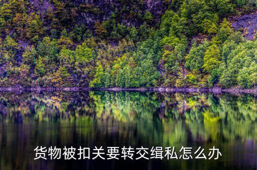集裝箱被扣緝私需要辦什么手續(xù)，貨物被扣關(guān)要轉(zhuǎn)交緝私怎么辦