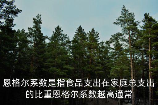 什么是恩格爾系數(shù)法，什么是恩戈?duì)栂禂?shù)